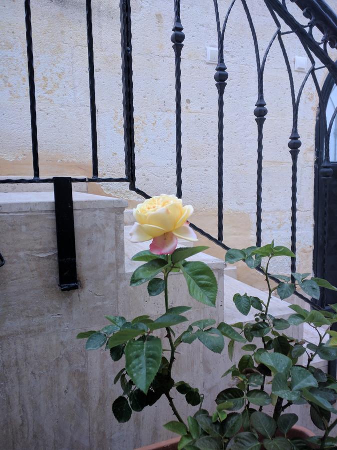 Sendian-Guesthouse (Adults Only) Avanos ภายนอก รูปภาพ